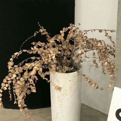 Furry角色动作绘画技巧Furry群